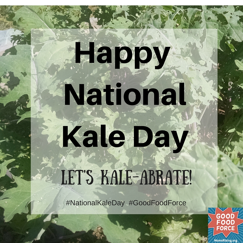 Year in the Family Garden Growing Kale! National Kale Day MomsRising